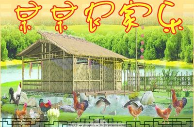 農家樂 新農村的田園風光畫卷